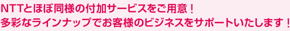 NTTとほぼ同様の付加サービスをご用意！
多彩なラインナップでお客様のビジネスをサポートいたします！