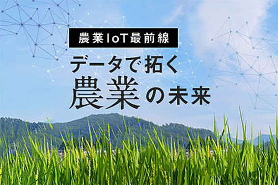 中古】日本農業の地域的分析—たばこ栽培を指標としてみた日本